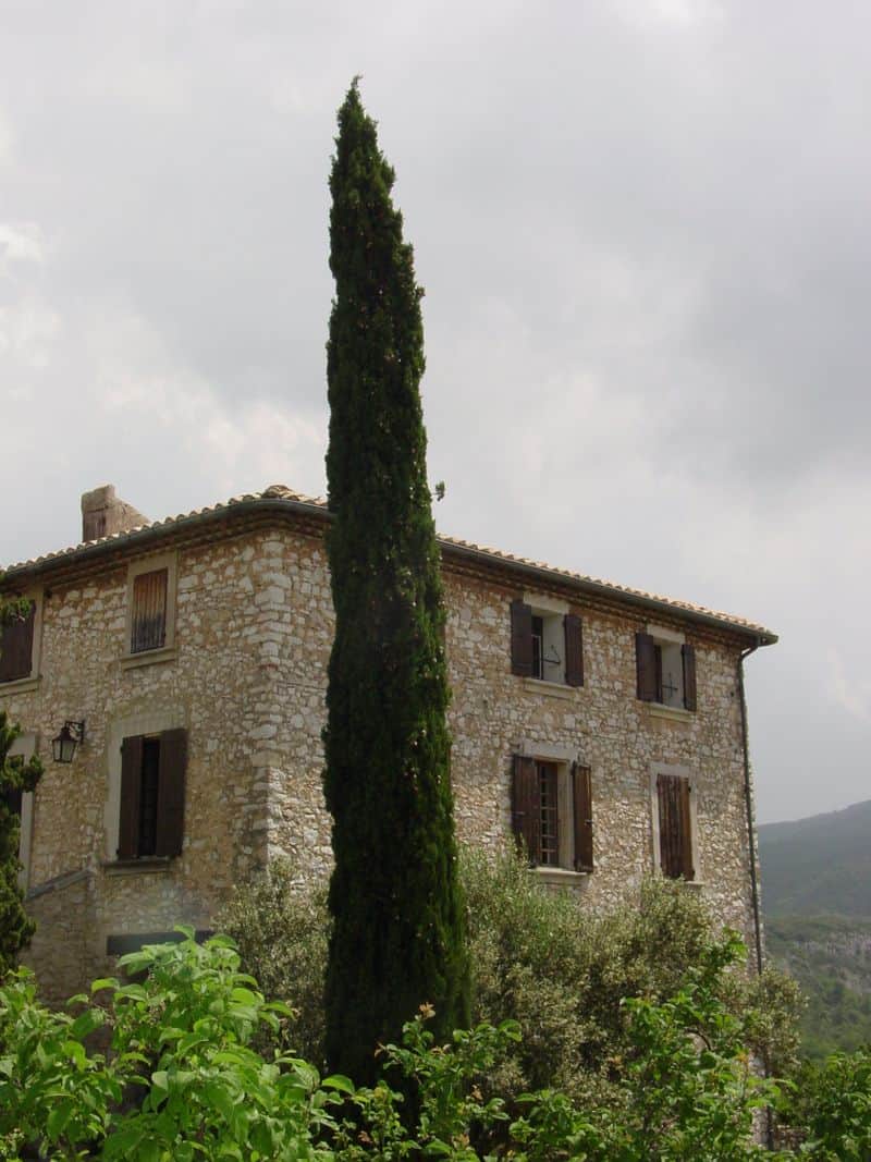 Cypress Trees are used in the landscape throughout Provence.