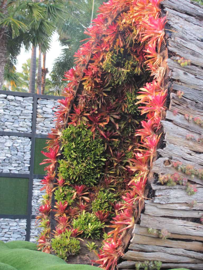 Totally crazy Bromeliads, but what a way to use them. Is this sustainable design?