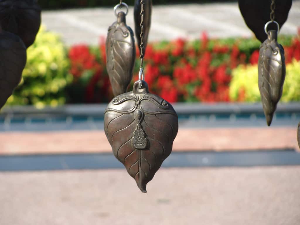 Close-up of a "leaf".