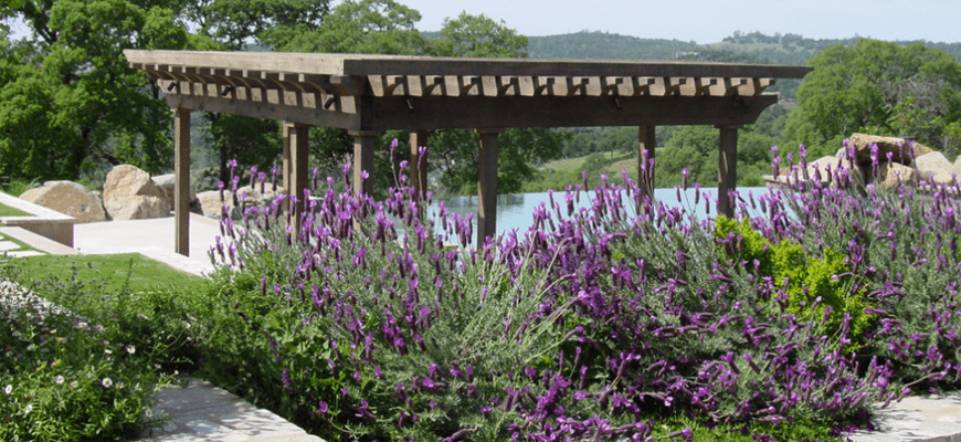 walnut creek landscaper